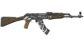 Wasteland Rebel image