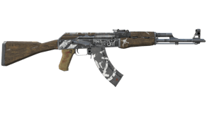 Wasteland Rebel image