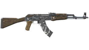 Wasteland Rebel image