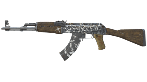Wasteland Rebel image