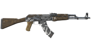Wasteland Rebel image