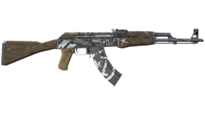 Wasteland Rebel image
