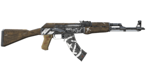 Wasteland Rebel image