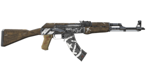 Wasteland Rebel image