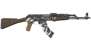 Wasteland Rebel image
