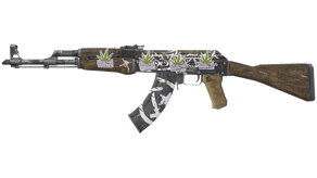 Wasteland Rebel image