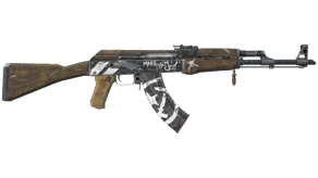 Wasteland Rebel image