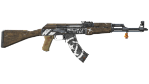 Wasteland Rebel image