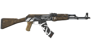 Wasteland Rebel image