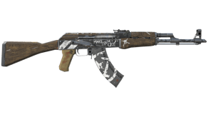 Wasteland Rebel image