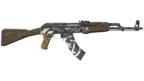 Wasteland Rebel image