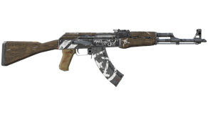 Wasteland Rebel image