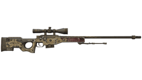 Duality image