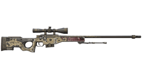 Duality image