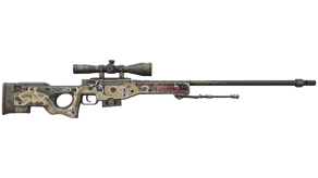 Duality image