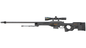 Elite Build image
