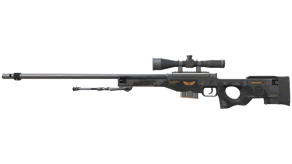 Elite Build image