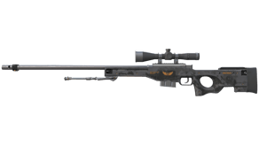 Elite Build image