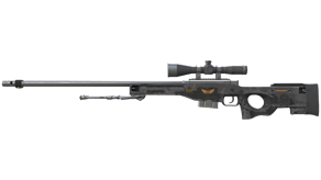 Elite Build image