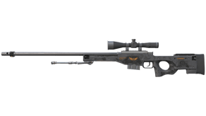 Elite Build image