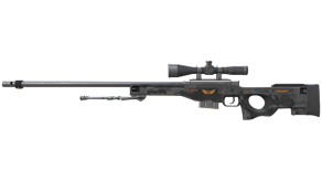 Elite Build image