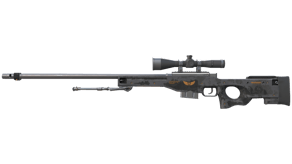 Elite Build image