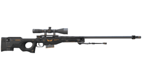 Elite Build image
