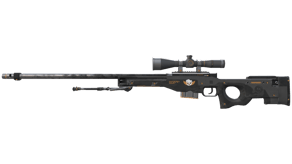 Elite Build image