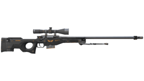 Elite Build image