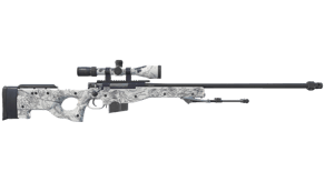 The End image