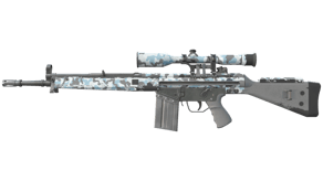 Arctic Camo image