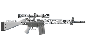 Polar Camo image