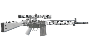 Polar Camo image