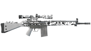 Polar Camo image