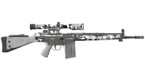 Polar Camo image