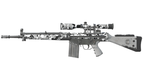 Polar Camo image