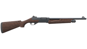 Walnut image