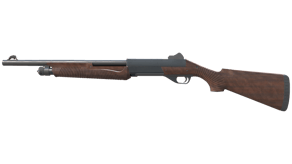 Walnut image