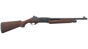 Walnut image