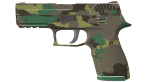 Boreal Forest image