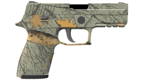 Modern Hunter image
