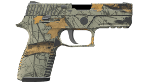 Modern Hunter image