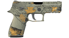 Modern Hunter image