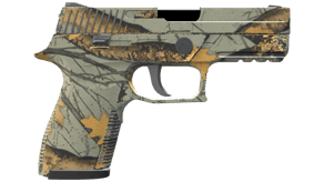 Modern Hunter image