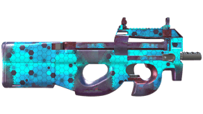 Module image