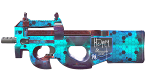 Module image