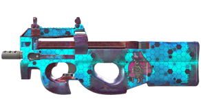 Module image