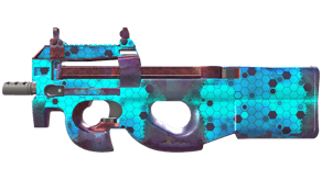 Module image