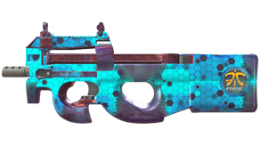 Module image