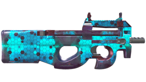 Module image